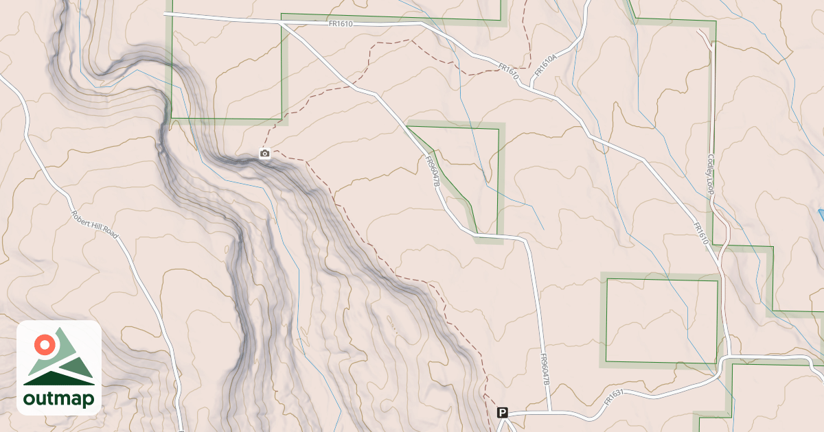 Map of USFS National Forest System Roads {13875B73-A348-4730-8492-09CF4FBF745C}
