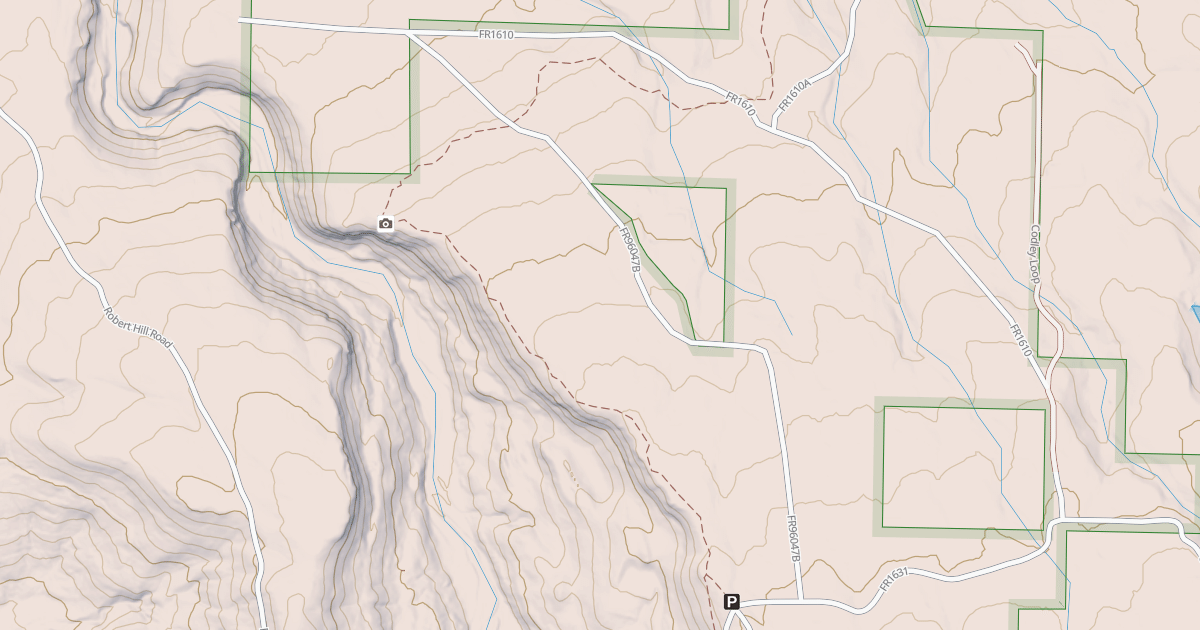 Map preview of USFS National Forest System Roads {13875B73-A348-4730-8492-09CF4FBF745C}