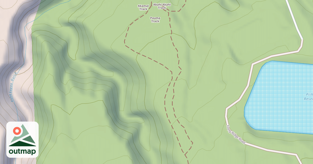 Map of Fong Ridge Road/Trail