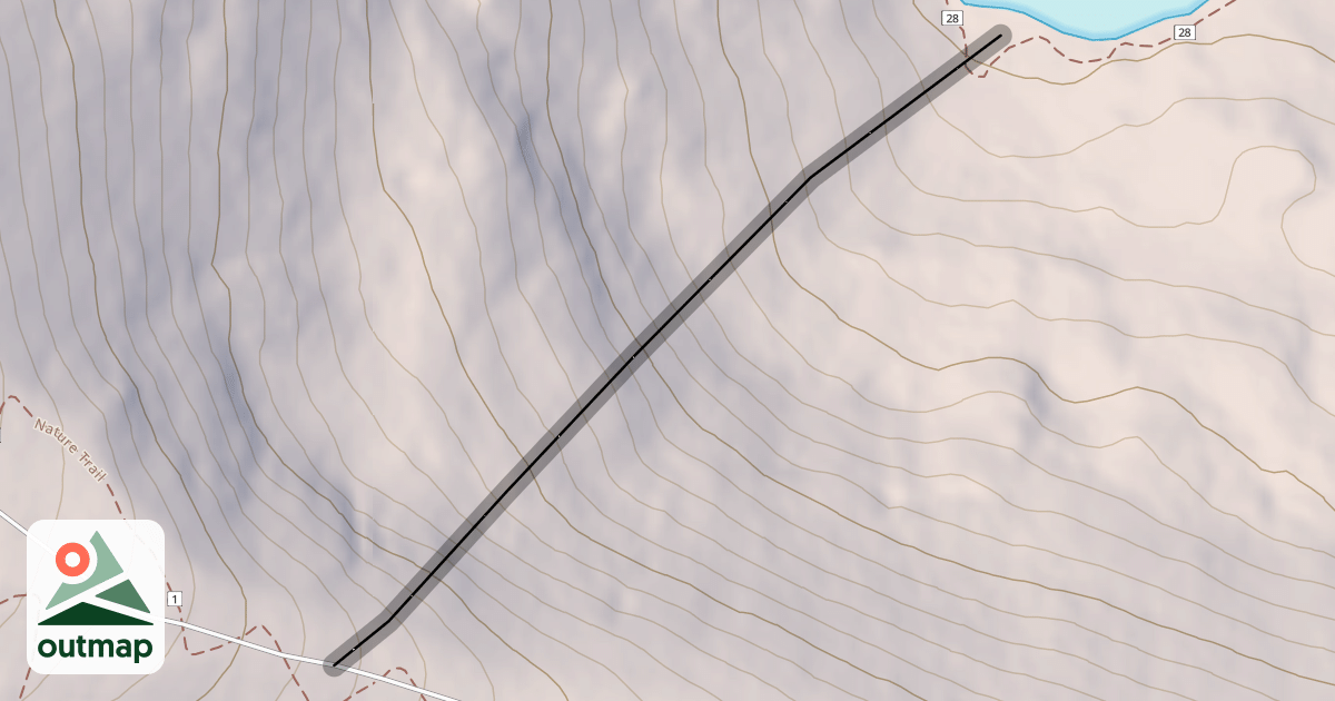 Map of Whiplash