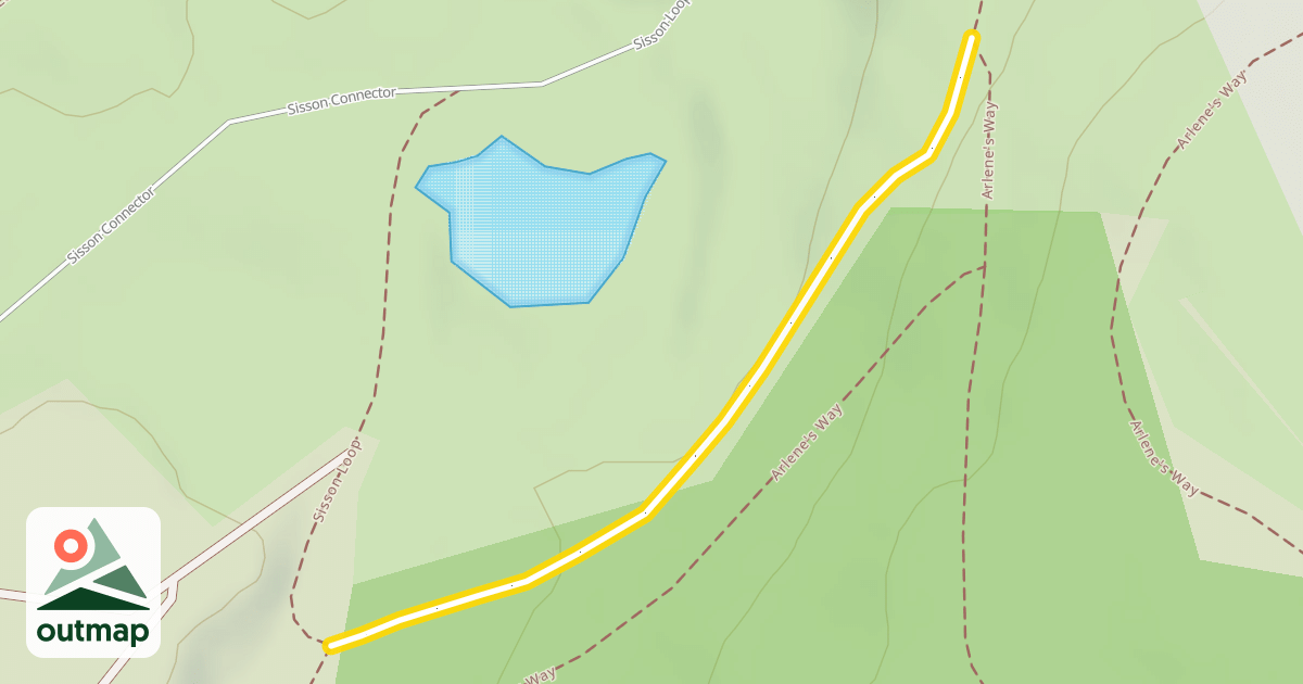 Map of Arlene's Way