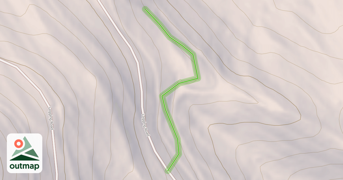Map of Logging Road