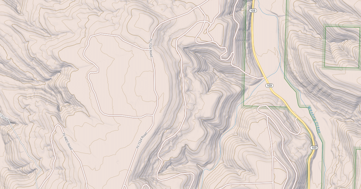 Map preview of USFS Motor Vehicle Use Map Roads {98A1EA82-9F29-483A-B83C-5FBF146A9FC3}