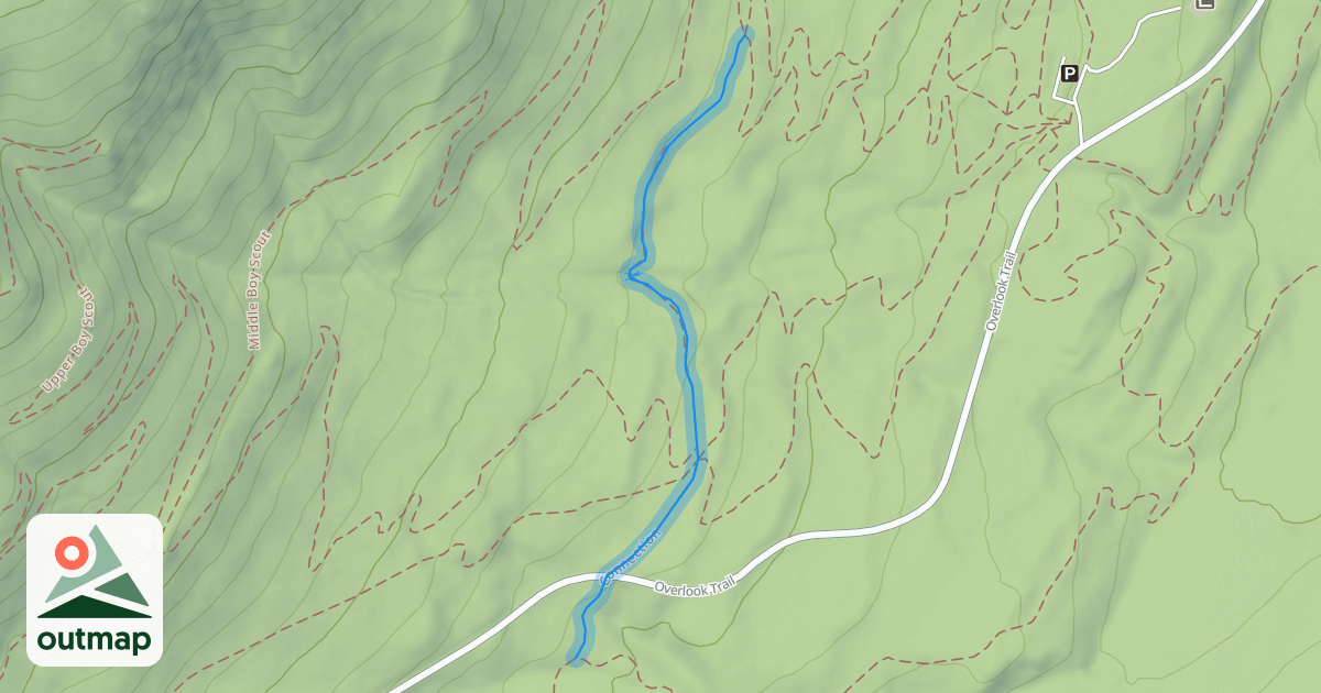 Map of Connection