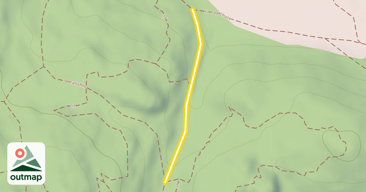 Map of 1