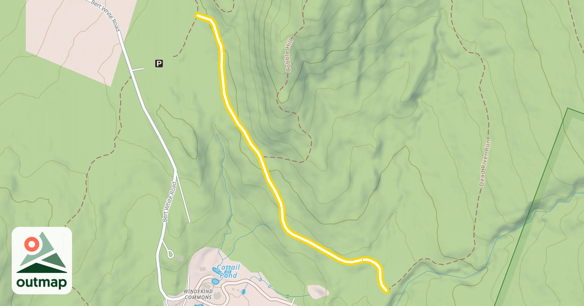 Map of Skunk Brook