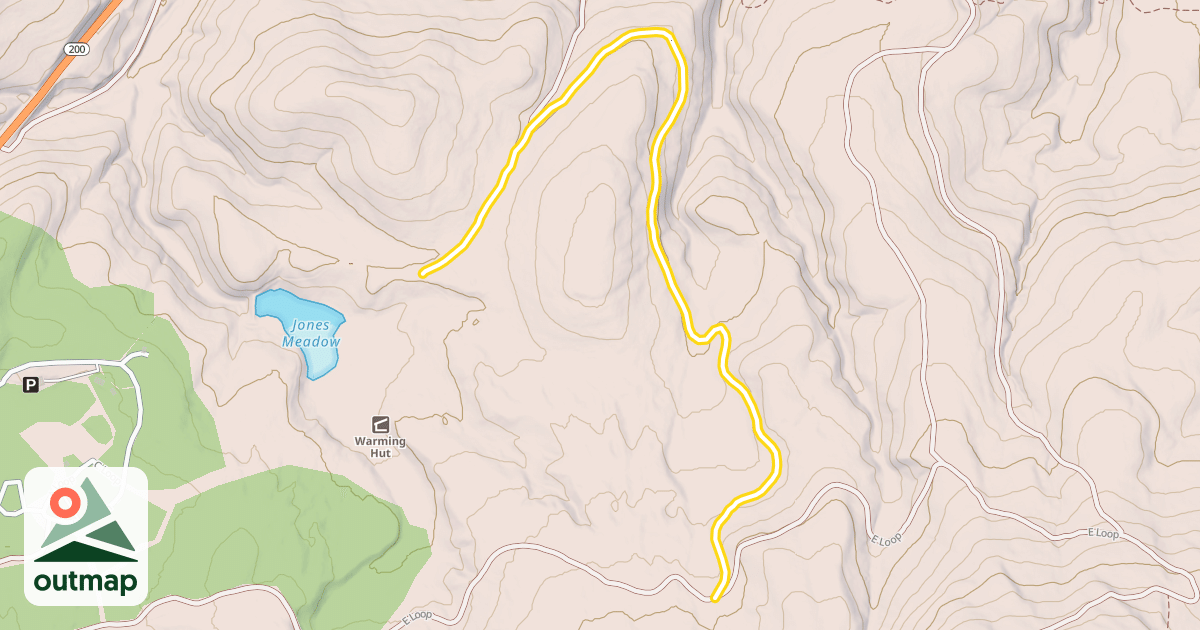 Map of D Loop
