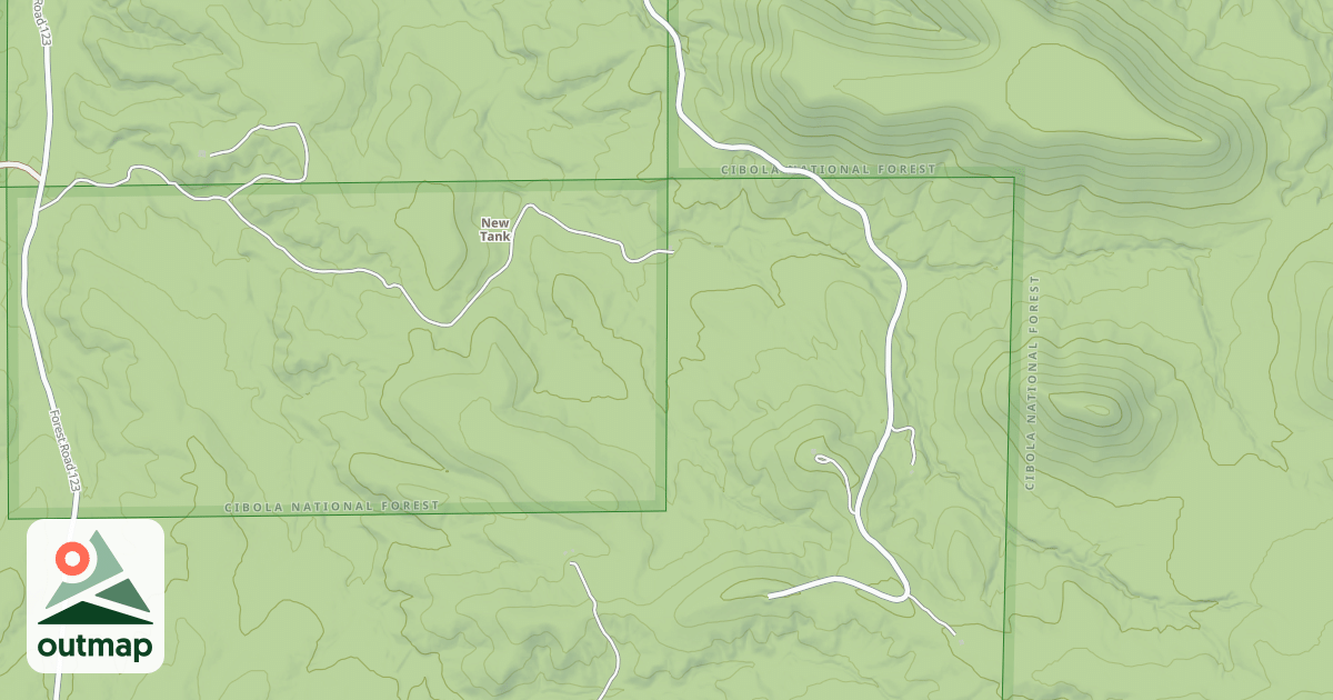 Map of USFS National Forest System Roads {840B1E93-6089-4067-BB4C-AE30866A7AB7}