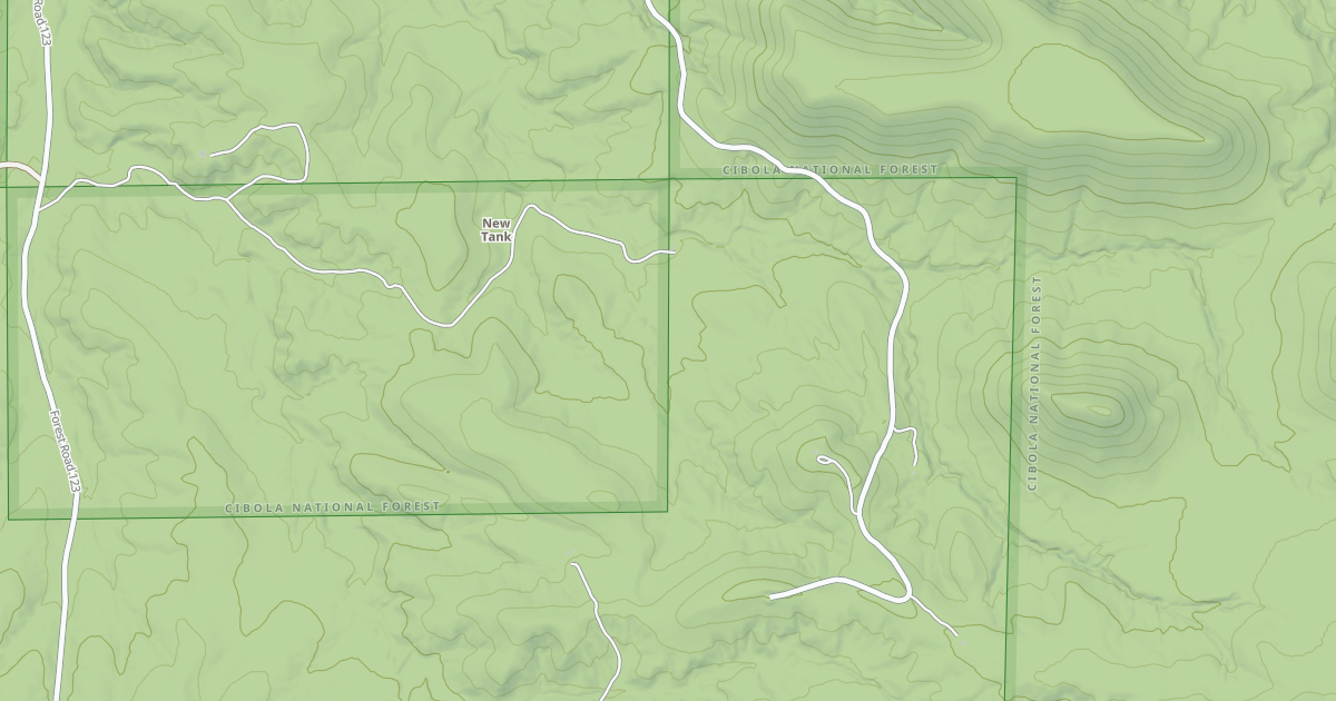 Map preview of USFS National Forest System Roads {840B1E93-6089-4067-BB4C-AE30866A7AB7}