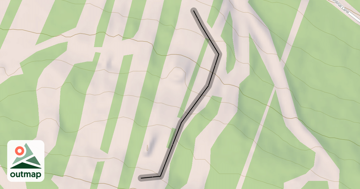Map of Snowdrift