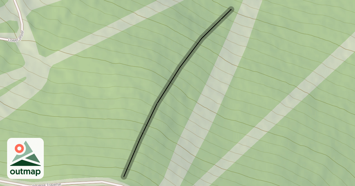 Map of Stein's Woods