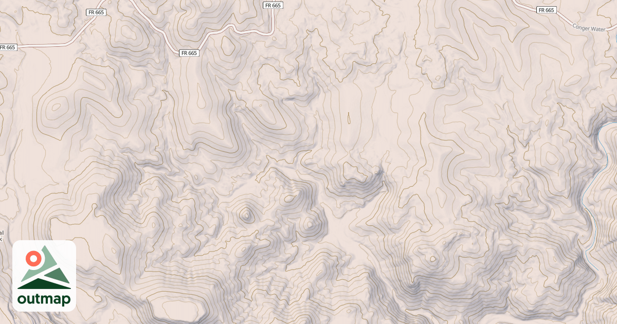 Map of Alligator Spring