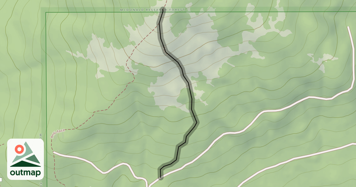 Map of Face