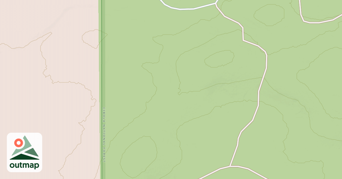 Map of USFS National Forest System Roads {403A51FD-9BB4-49A3-A088-31D531958142}