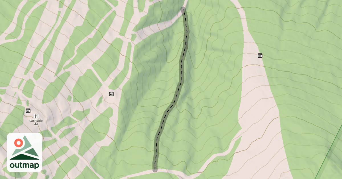 Map of Enchanted Bear