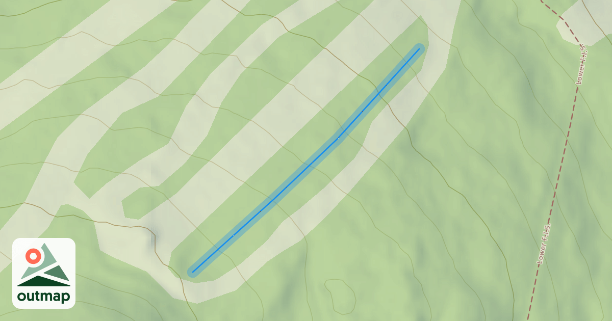 Map of Graduation Woods