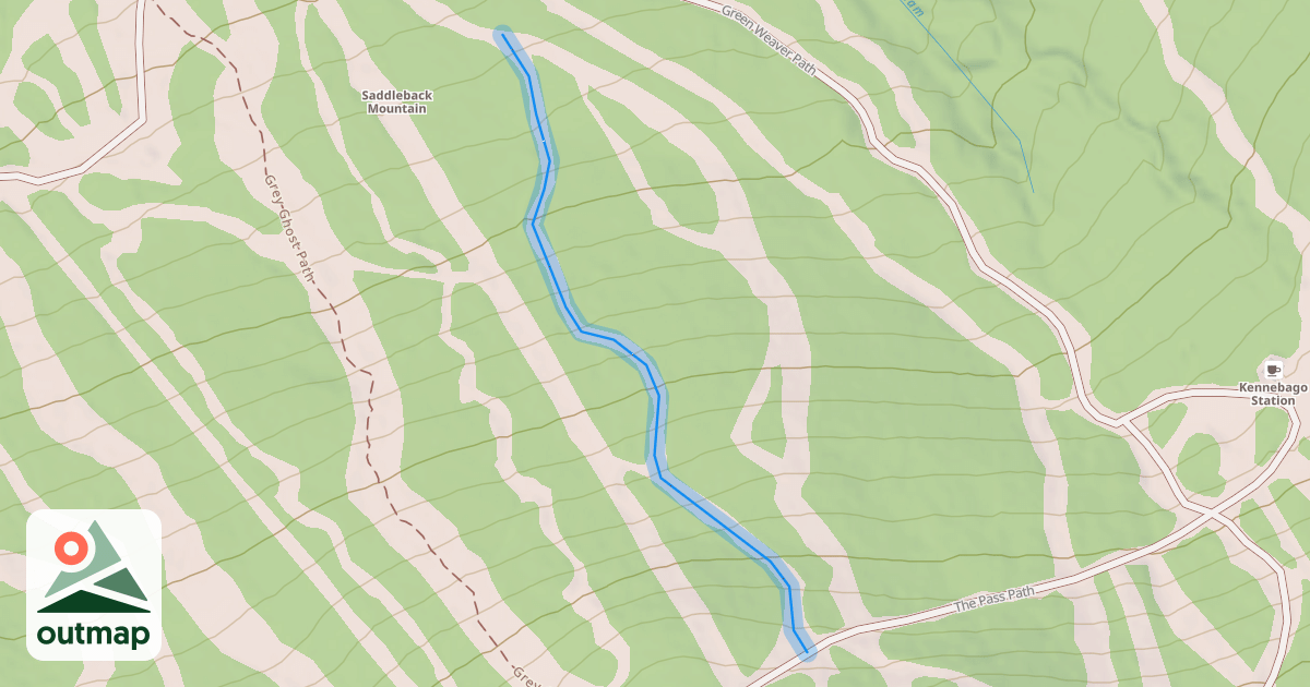 Map of Professor