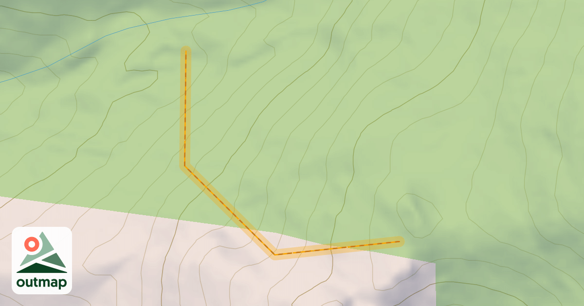 Map of Lightning Trees