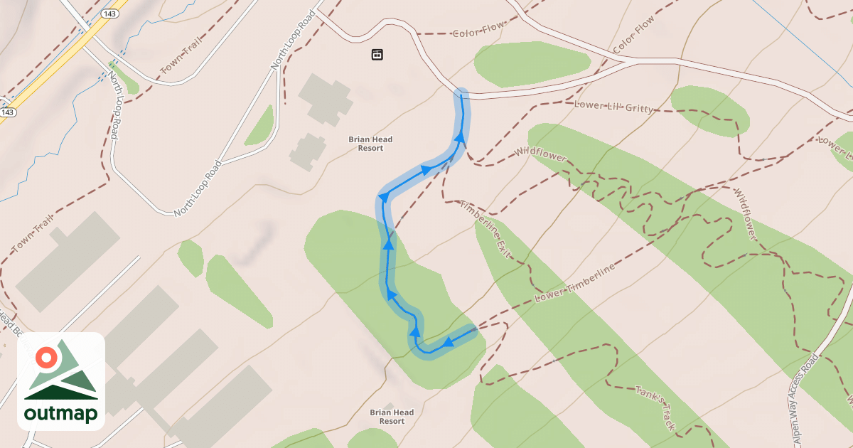 Map of Malicious Woods