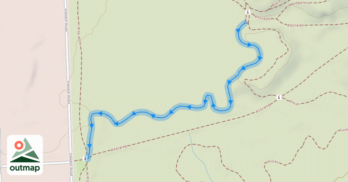 Map of Pines