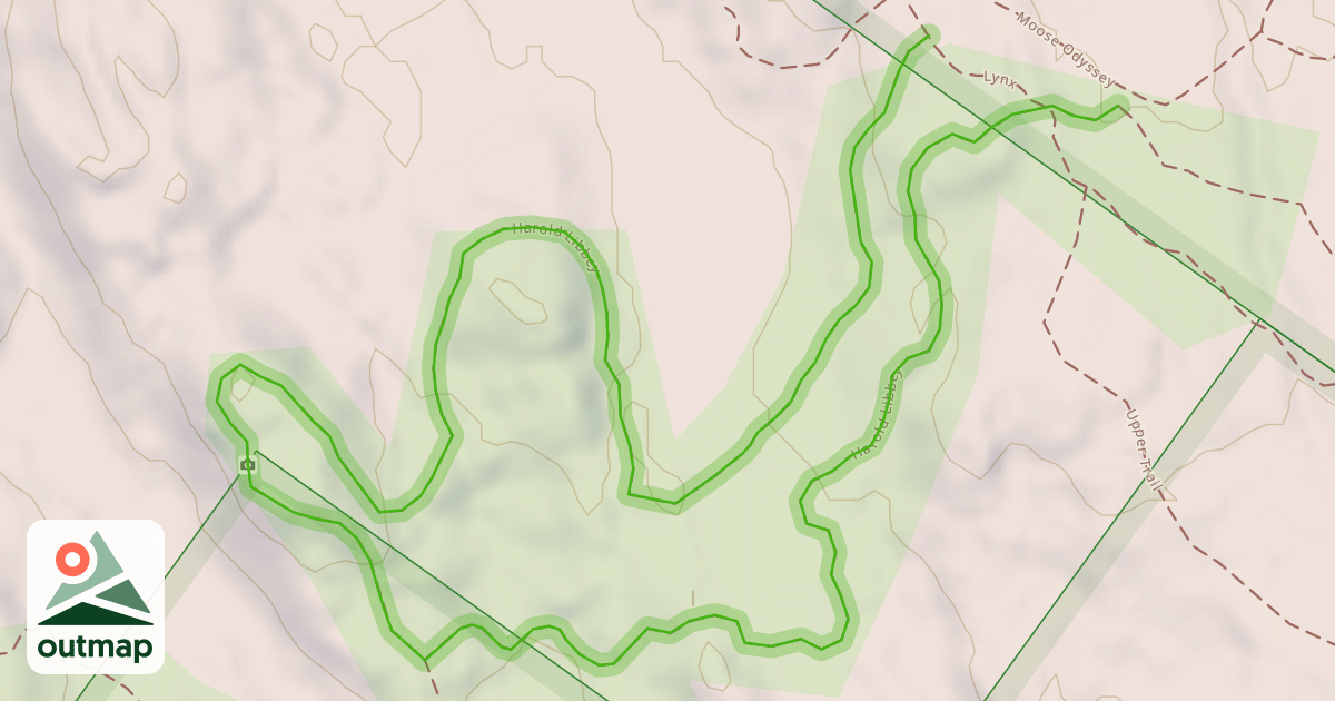 Map of Harold Libbey