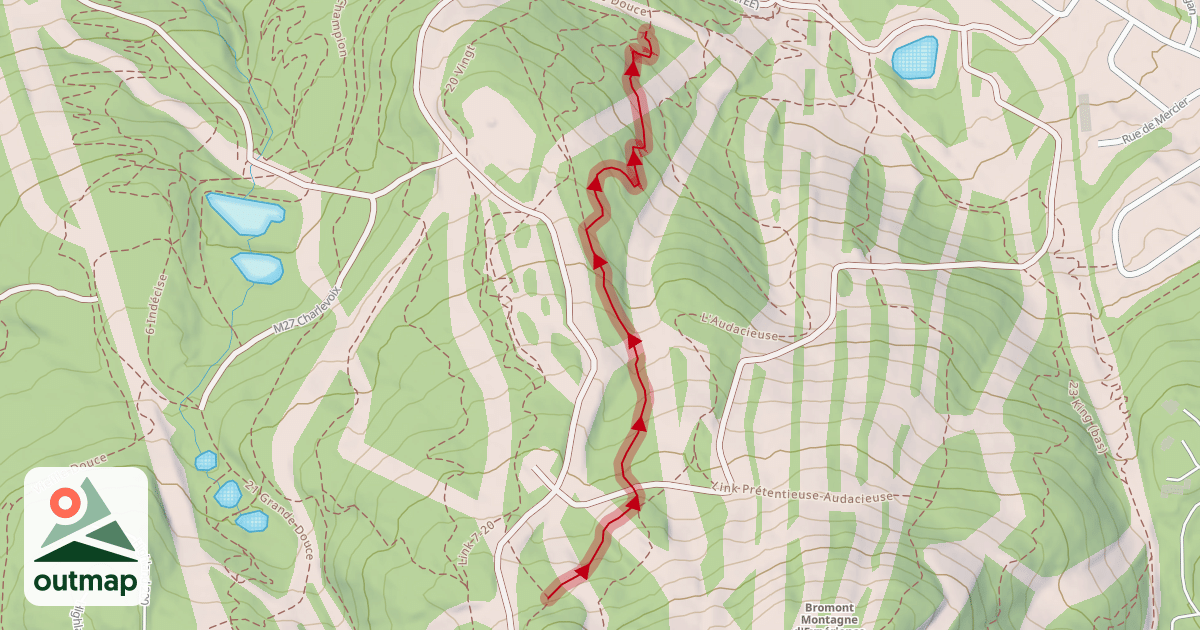 Map of 19 Next Level