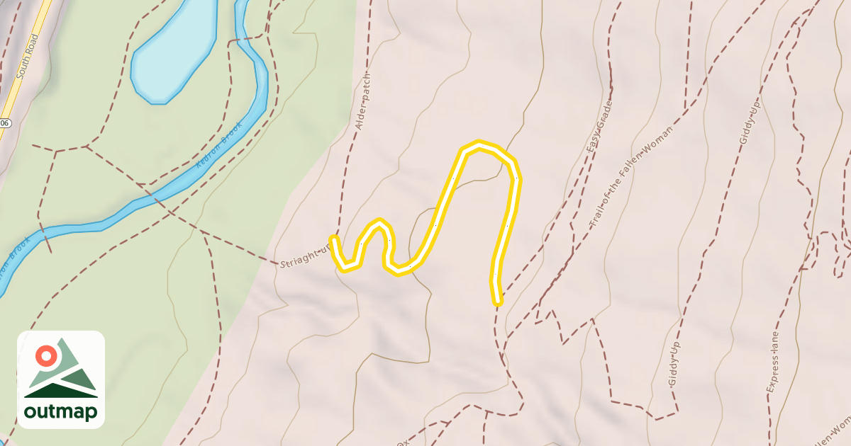 Map of Alder patch