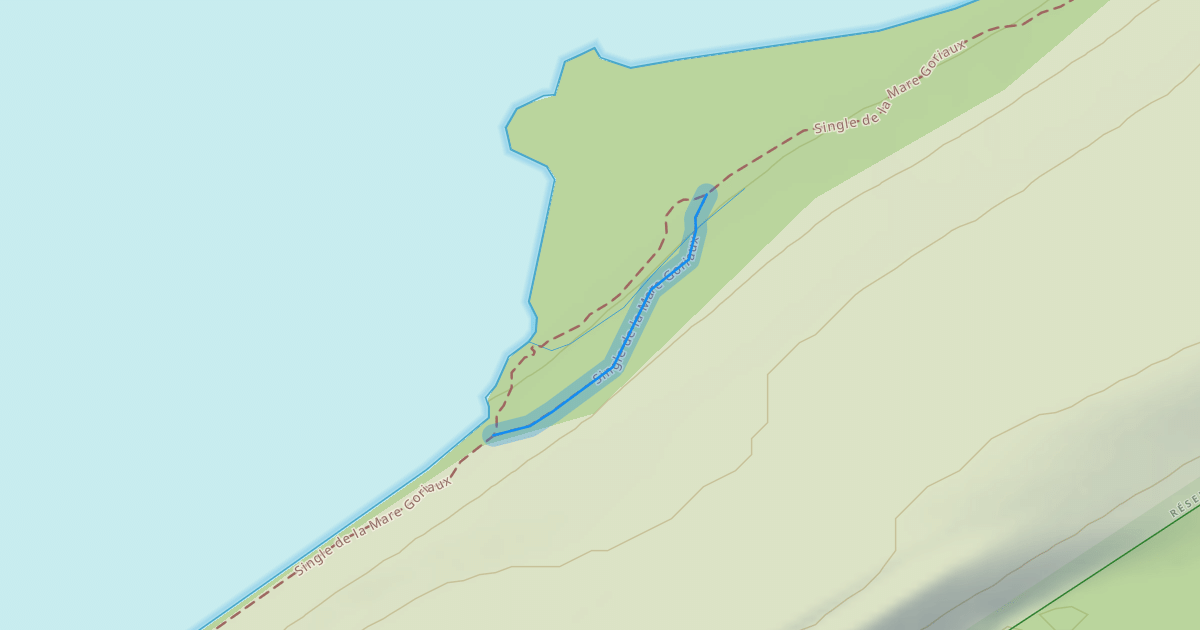 Map preview of Single de la Mare Goriaux