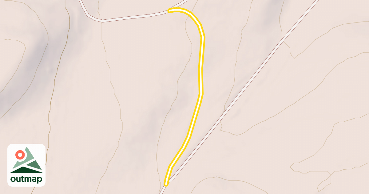 Map of Lower Tree Loop
