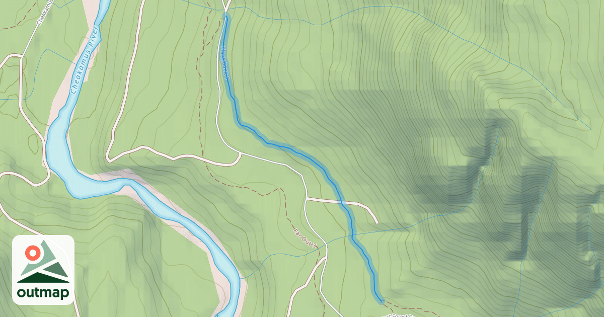 Map of Flashback 1