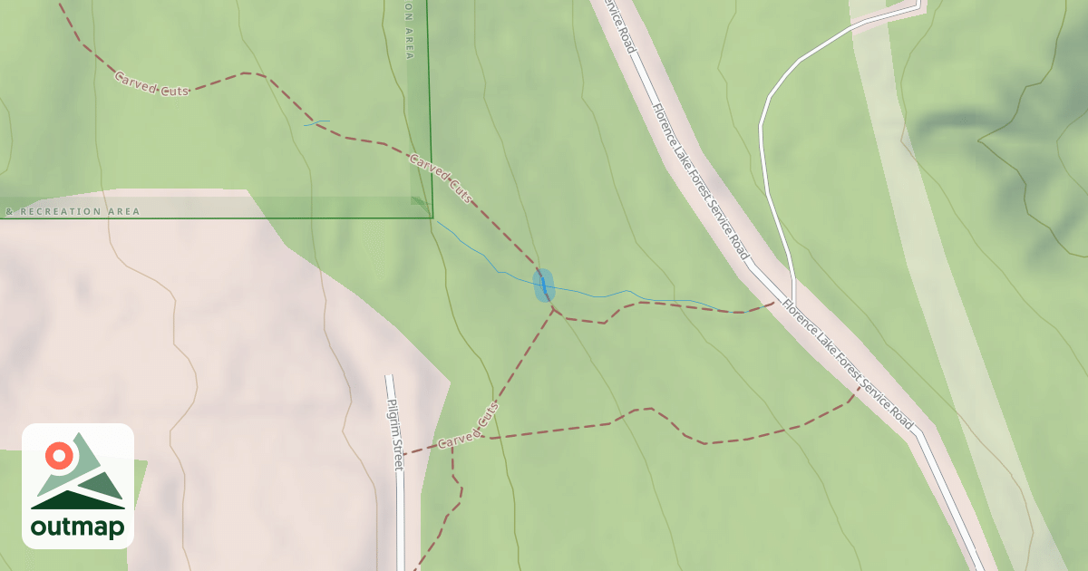 Map of Carved Cuts