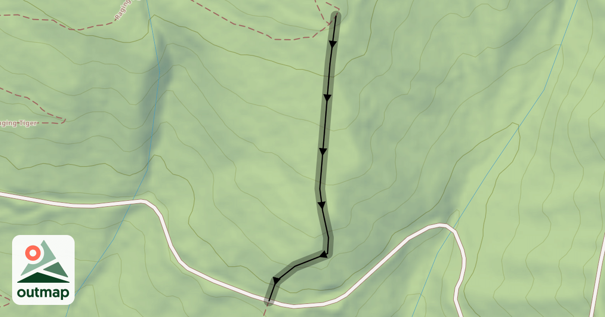 Map of Physical Therapy (Middle)