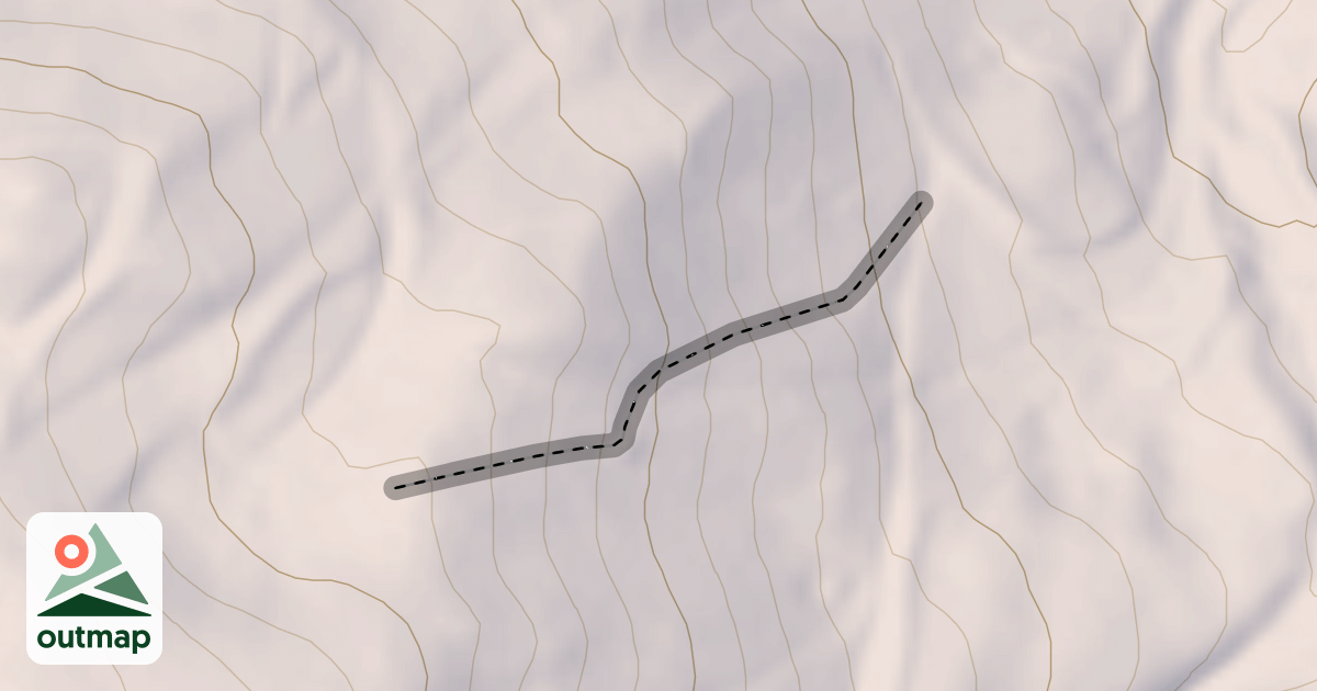 Map of Top Dog