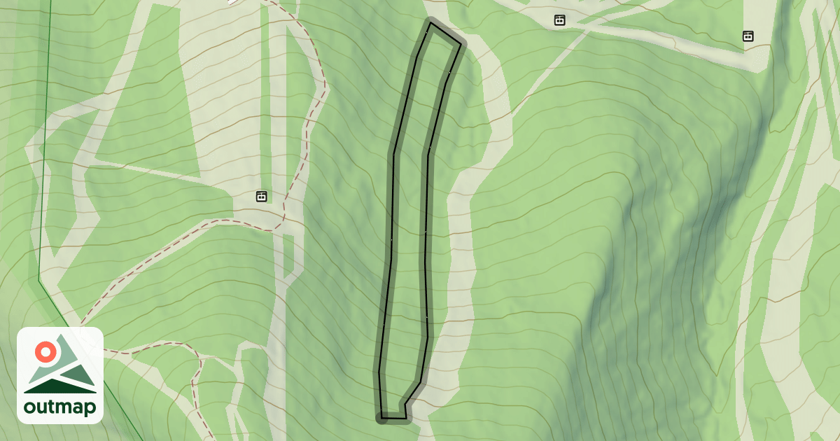 Map of Golden Birches Glade