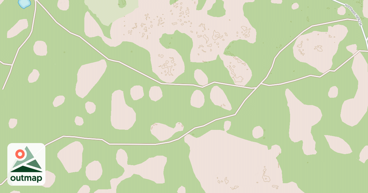 Map of USFS National Forest System Roads {9DAD016C-1F37-4F42-9F10-2EE9BBA7391D}