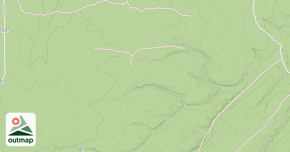 Map of USFS National Forest System Roads {67D9F057-9399-4801-988A-27C1A7511AD0}