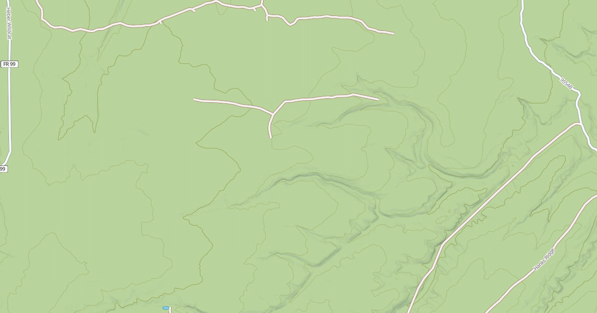 Map preview of USFS National Forest System Roads {67D9F057-9399-4801-988A-27C1A7511AD0}