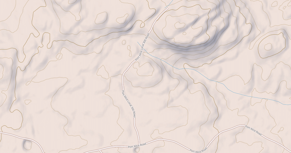 Map preview of PORT ALICE LOCAL 300