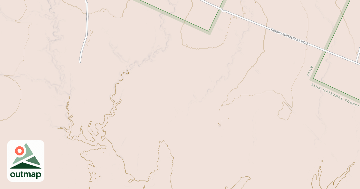 Map of USFS National Forest System Roads {D1B09101-22B5-4D43-A20F-A08A4339E760}