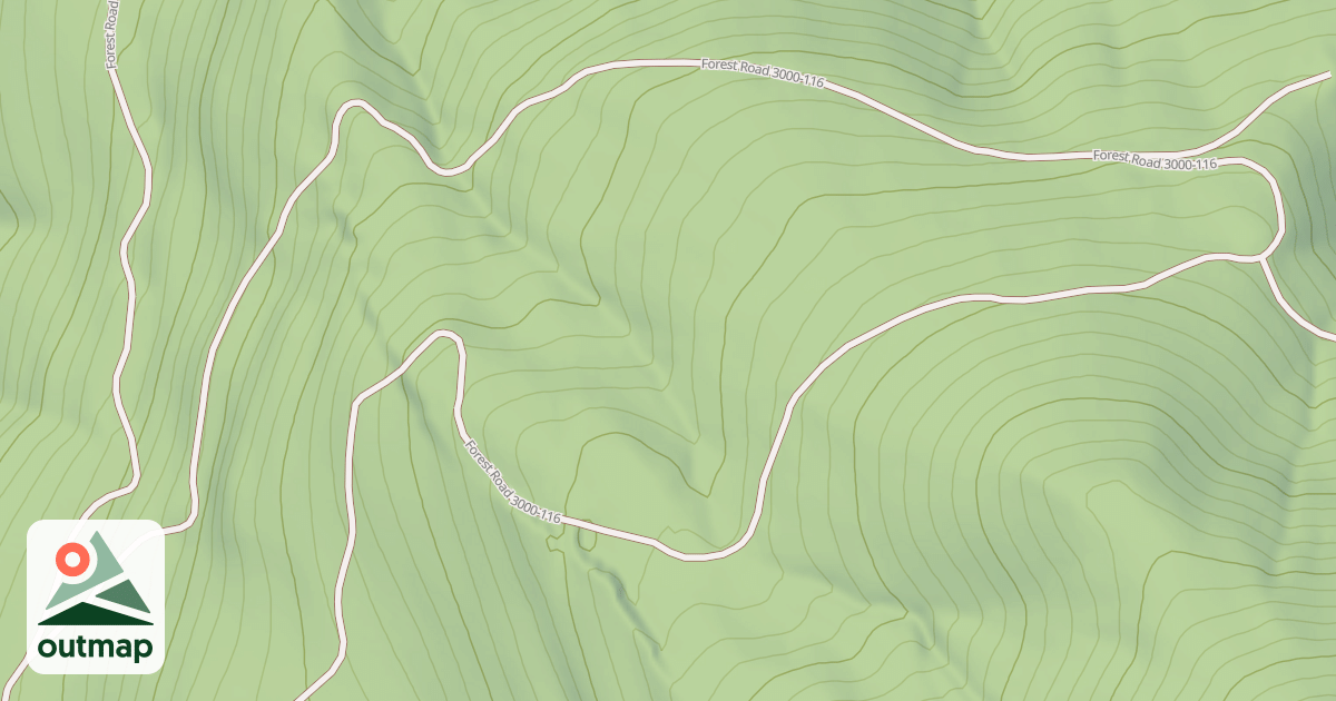Map of USFS National Forest System Roads {8C1A0970-0F85-4556-939B-44EFC4A54400}