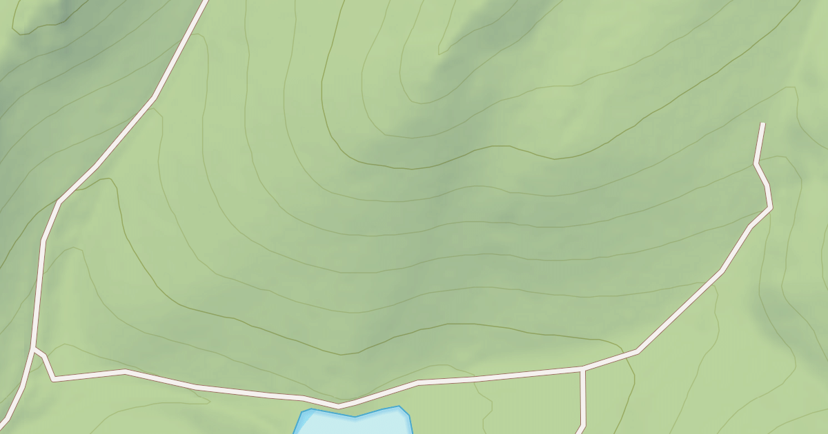 Map preview of USFS Motor Vehicle Use Map Roads {4C94BEA2-C3B5-4DF9-A9B3-9F004059D214}