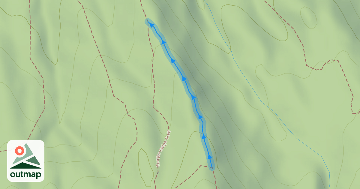 Map of Cougar Ridge Trail