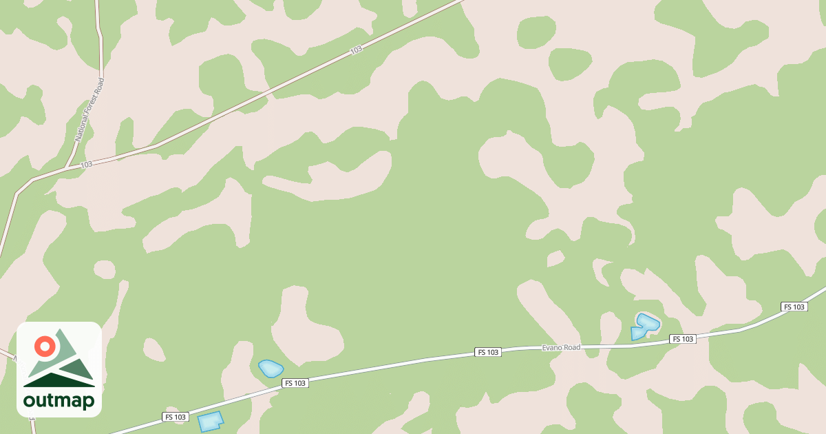 Map of USFS National Forest System Roads {84A0E98D-F77D-4FAF-8097-939AB7FEE717}