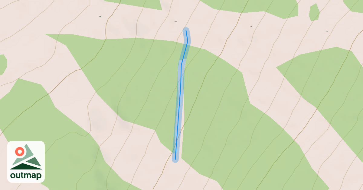 Map of Bergman road