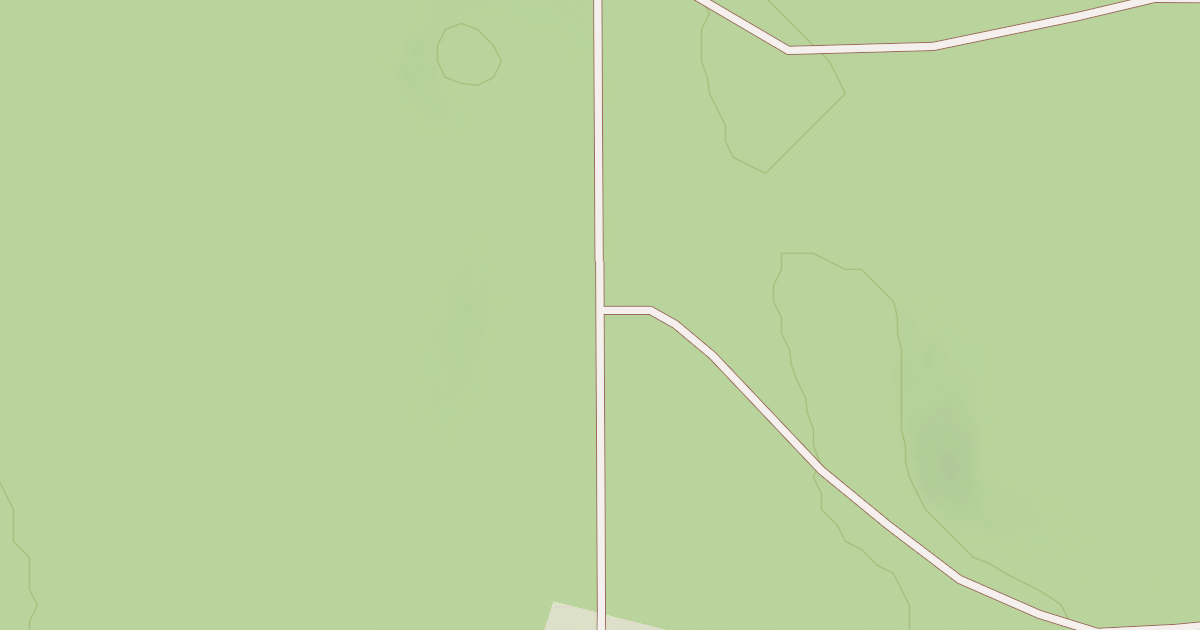 Map preview of South Loop