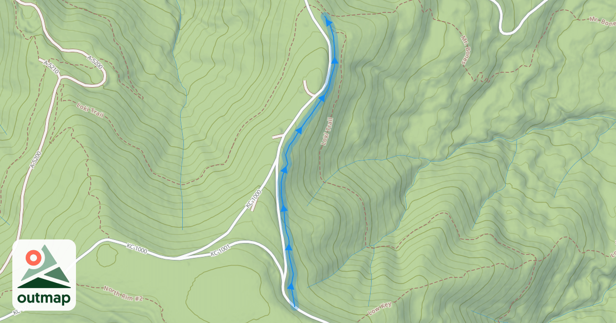 Map of Mr. Bones (Upper)