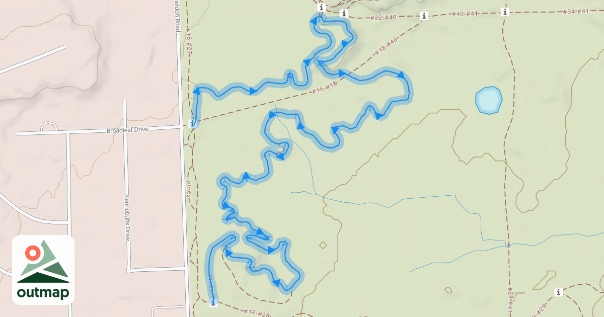 Map of Pines