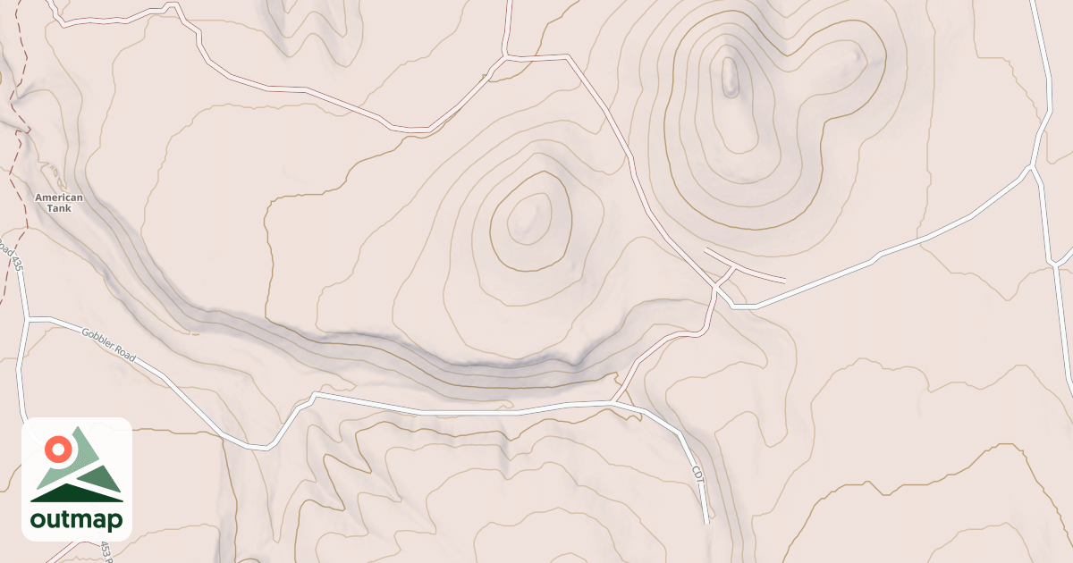 Map of USFS National Forest System Roads {15BE1B25-D2B1-4FF9-87FC-00EABCD17ED8}