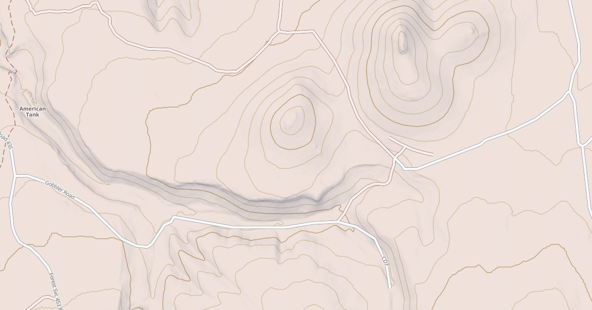 Map preview of USFS National Forest System Roads {15BE1B25-D2B1-4FF9-87FC-00EABCD17ED8}