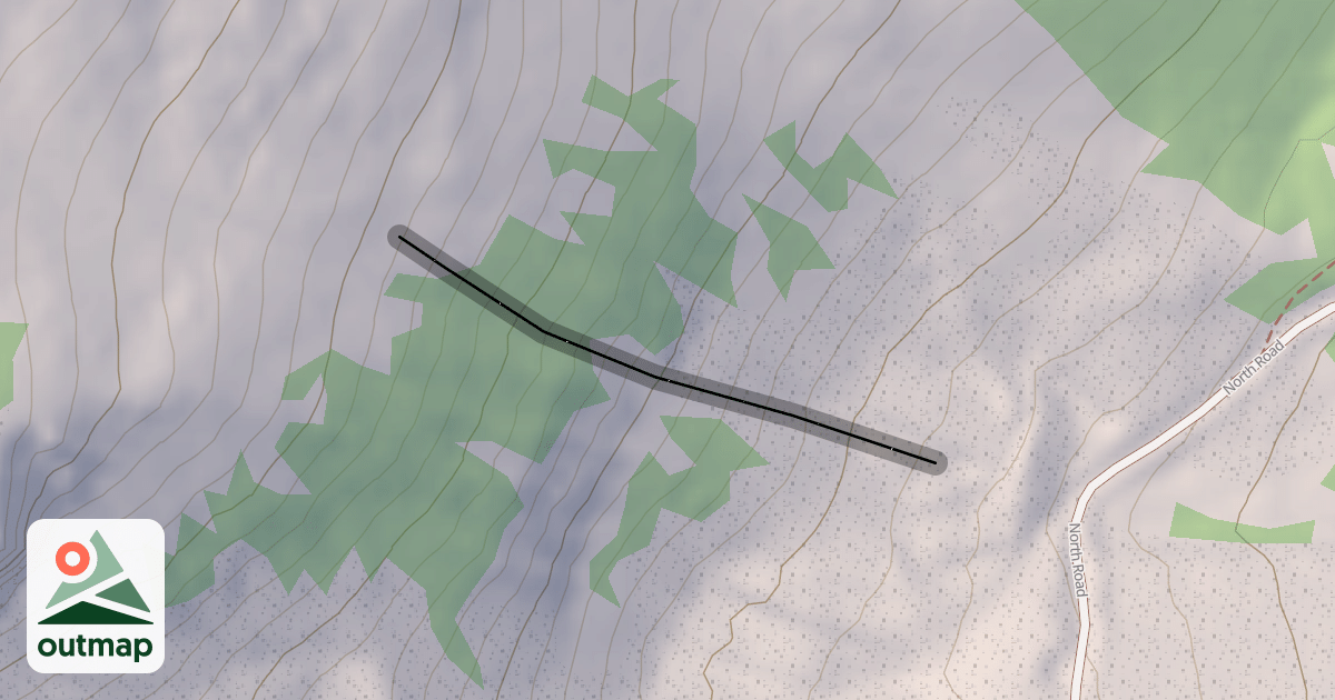 Map of Little Tree
